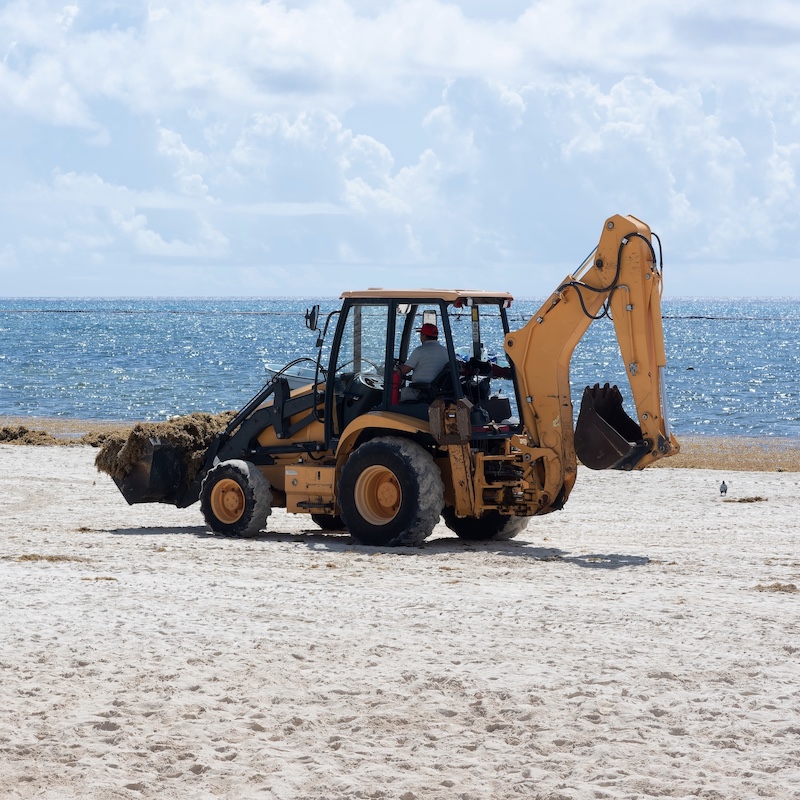 bulldozer tractor with sargassum on beach