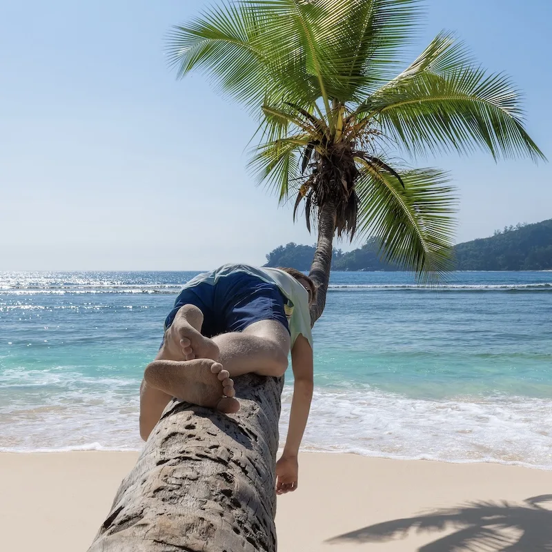 traveler on palm tree cancun