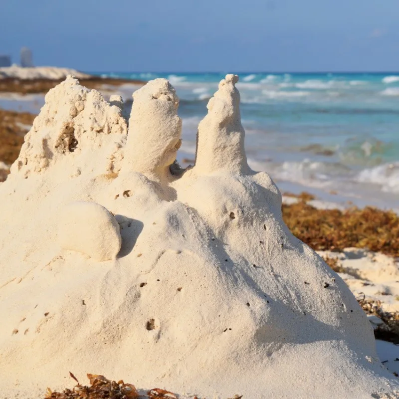 A Sandcastle and Sargassum on a Mexican Caribbean Beach