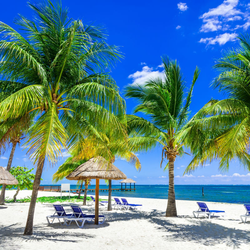 Paradisiacal beach in Cancun with palm trees and white sand
