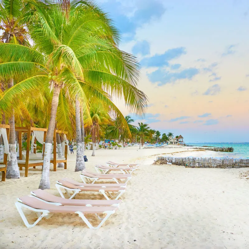Tropical views in Costa Mujeres with beach chairs and trees