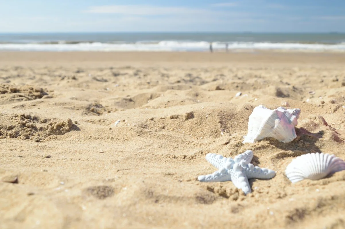Massive Cancun Beach Clean-Up Ensures Travelers Will Enjoy Trash-Free Sands While On Vacation