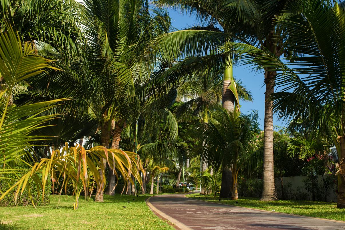 new park in cancun