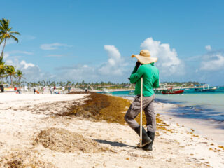 New Program Launch Could Drastically Reduce Cancun Sargassum Levels This Year