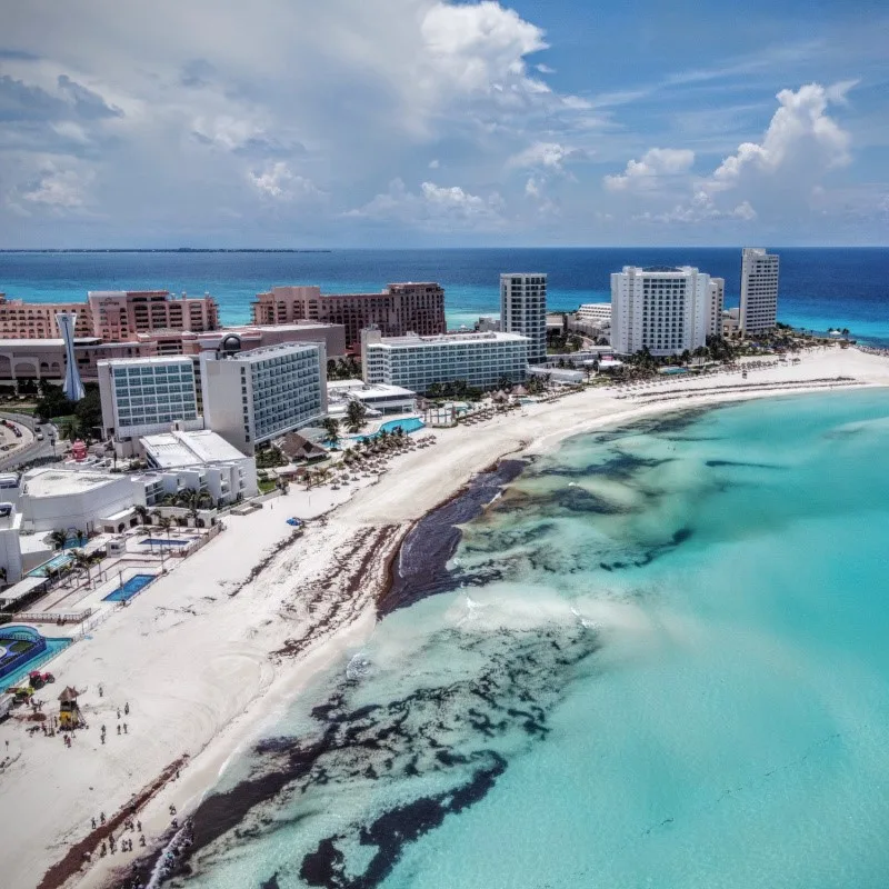 Sargassum on a Beach in Front of Hotels in the Cancun, Mexico Hotel Zone