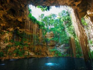 Top 7 Cenotes Near Cancun To Go Swimming In When The Beaches Are Covered With Sargassum
