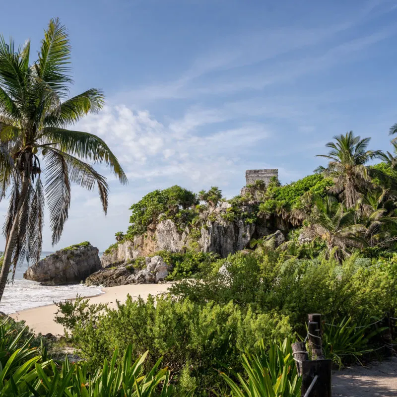 A popular beach in Tulum in the Mexican Caribbean with palm trees