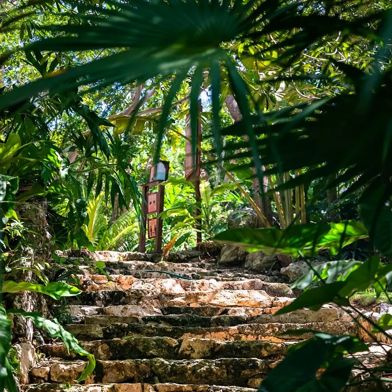 Walking trail in cancun