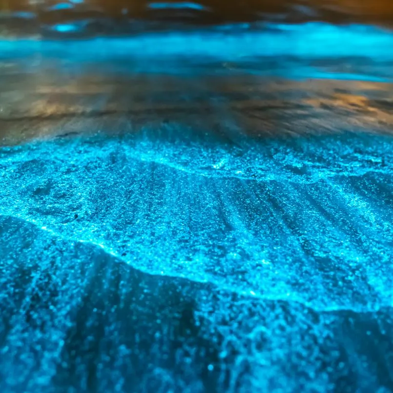 Bioluminescent bay in the sand