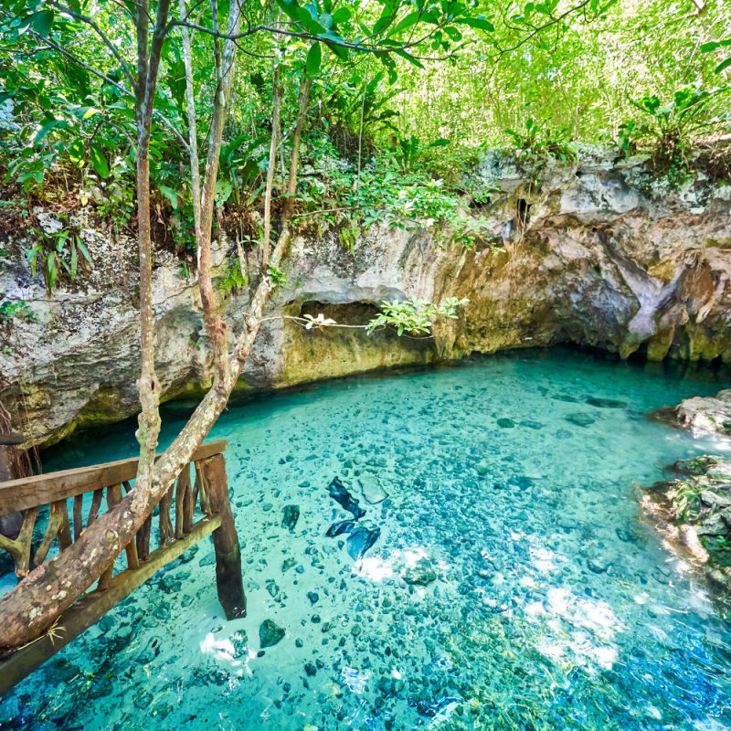Turquoise shallow water in an outdoor cenote