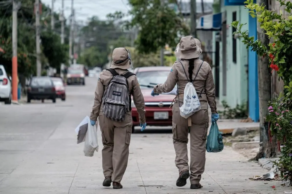 Cancun Sees Increase In Dengue Fever But Risk To Tourists&nbsp;Is&nbsp;Low