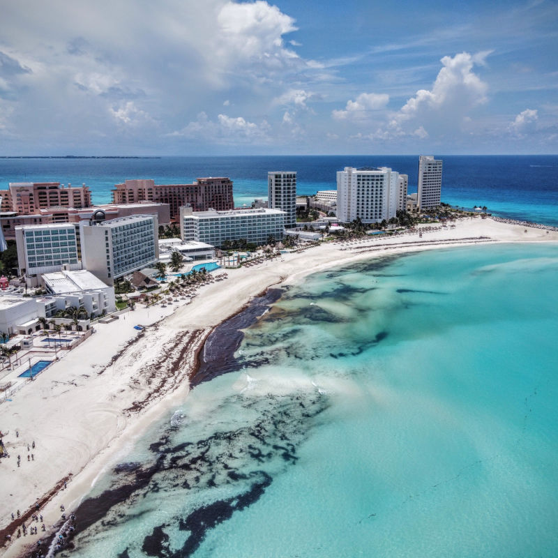 Aerial view of Cancun beach with sargassum seaweed 