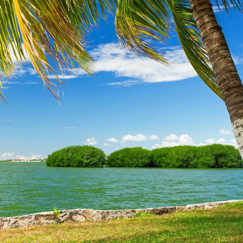 Tropical lake Nichupte lagoon, Cancun, Mexico.