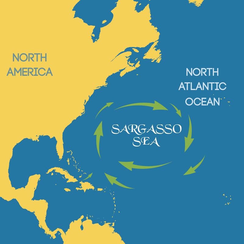 A map showing the location of the sargasso sea