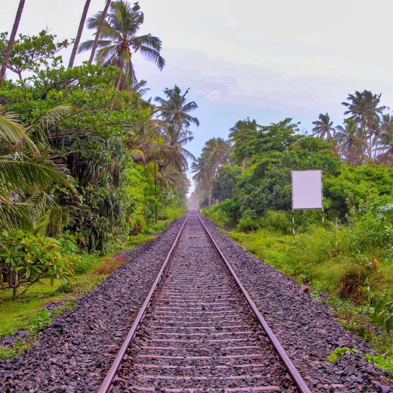 New Maya Train route being built in Mexico 