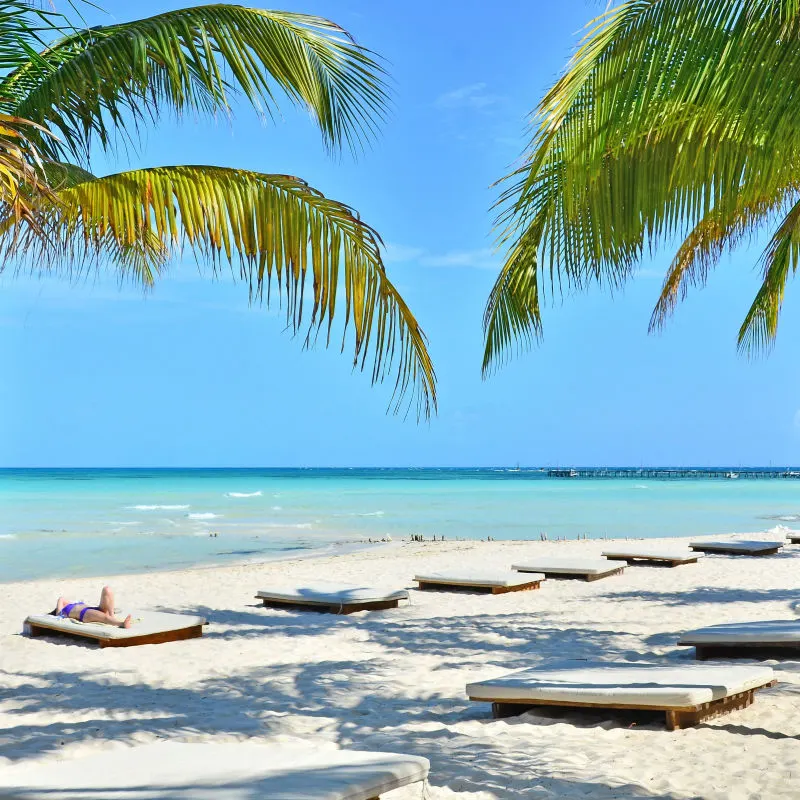 Tropical palm trees and beach chairs in Isla Mujeres