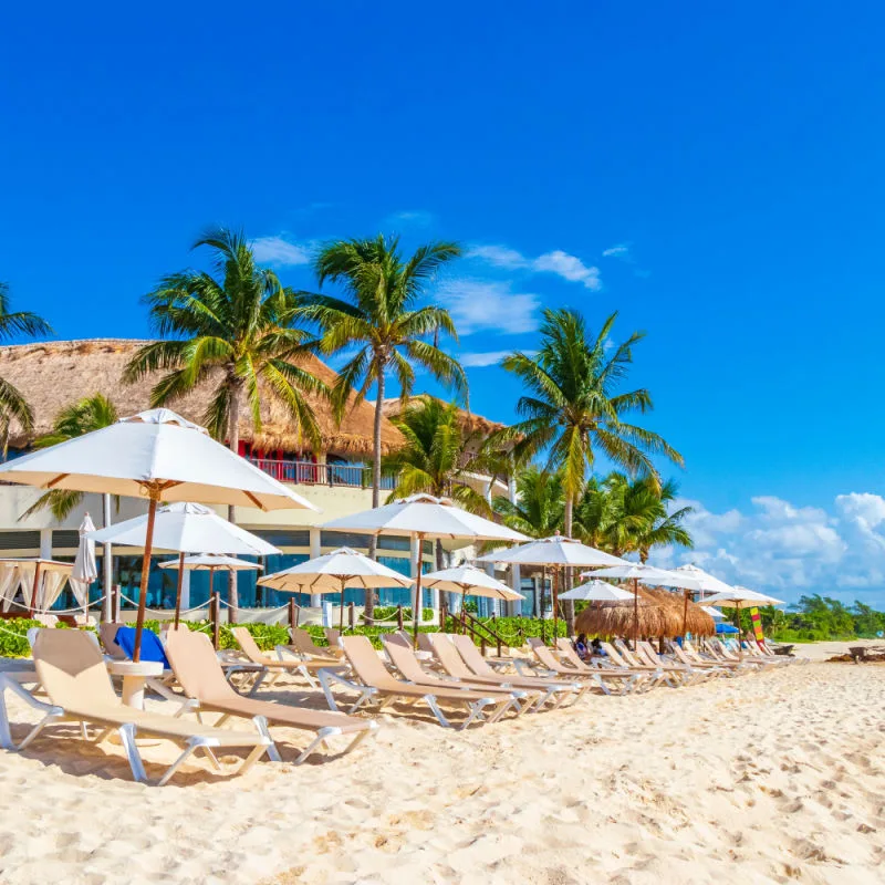 White-sand beach in Playa del Carmen with beach chairs
