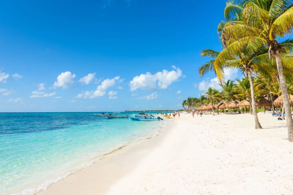 Riviera Maya Receives Welcome News Sargassum Levels See Huge Drop Since February
