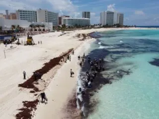 These Are The Best Beaches In Cancun To Escape Sargassum And Crowds