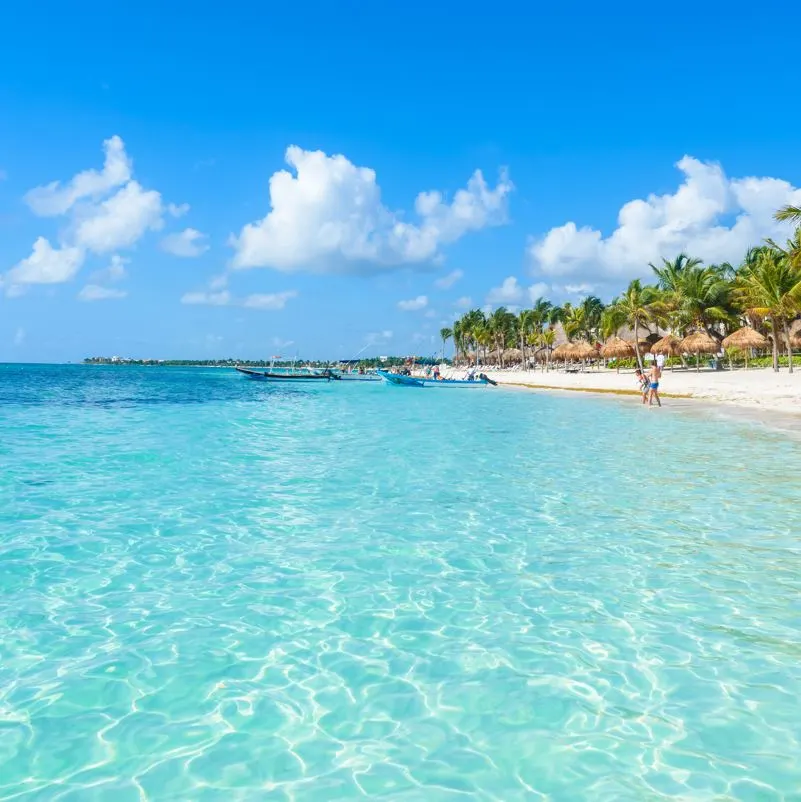 Sargassum Outpaces Safety As Top Concern For American Travelers To Cancun