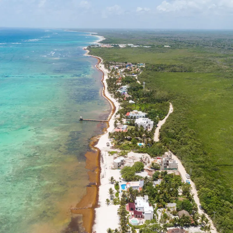 Aerial view of the Mexican Caribbean coastline with sargassum