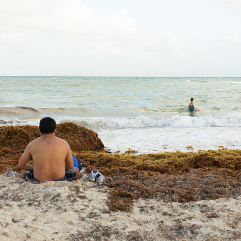 A man sitting on a beach with sargassum 