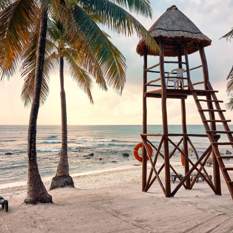 A lifeguard tower on a Cancun beach with a palm tree