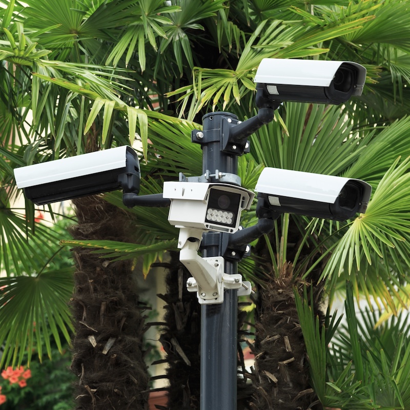 Security cameras facing multiple directions with a palm tree backdrop