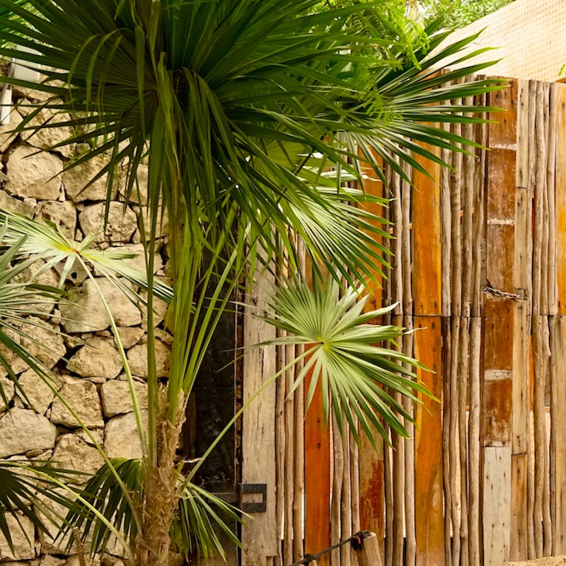 Tulum, Quintana Roo, Mexico - Nov. 2022: The hotel zone of Tulum on Mexico's Caribbean coast, is renown for its quirky shops, bike rentals, boutique hotels, rustic architecture and bohemian vibe.
