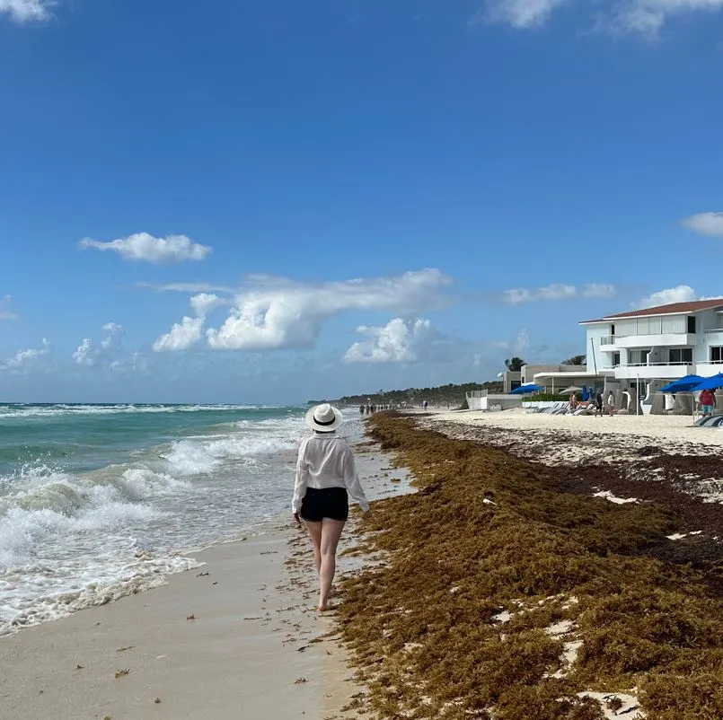 Young woman walks down beach covered in sargassum in playa del carmen