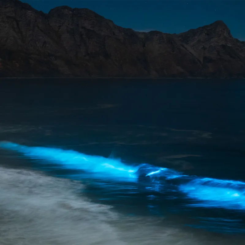 ocean lighting up at night