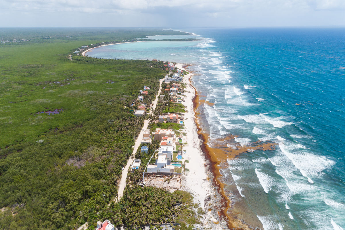 Tulum To Install New Barriers And Disposal Site To Combat Sargassum Cancun Sun