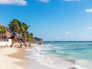 All Mexican Caribbean Beaches Declared Safe For Swimming By Government Experts