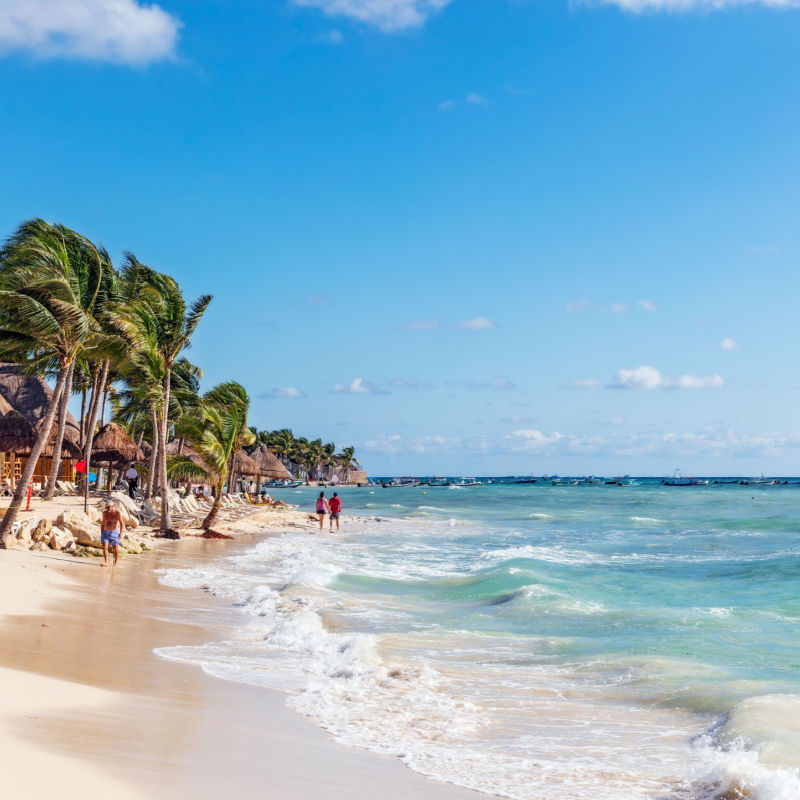 A white-sand beach in the Mexican Caribbean