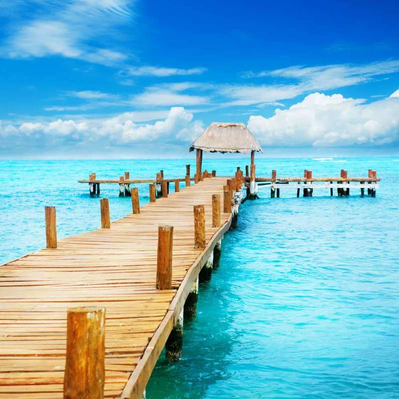 Walk through trail in Cancun beach 