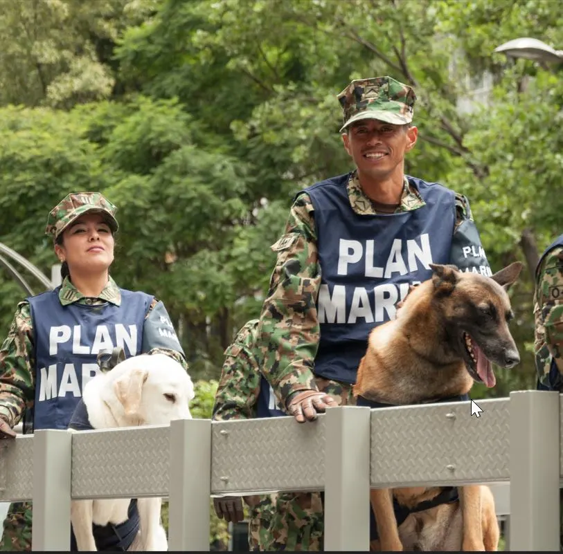 mexico police force