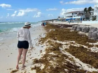 Woman looking at sargassum on playa del carmen beach