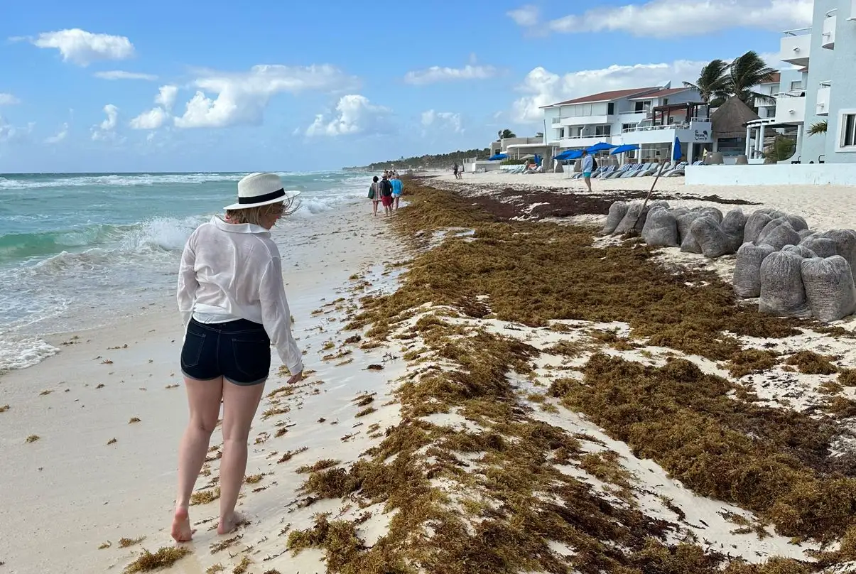 Woman looking at sargassum on playa del carmen beach