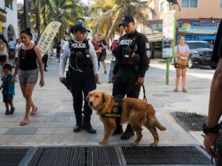 Playa Del Carmen To Monitor Incoming Traffic With Filters To Increase Security Ahead Of The Busy Summer Season