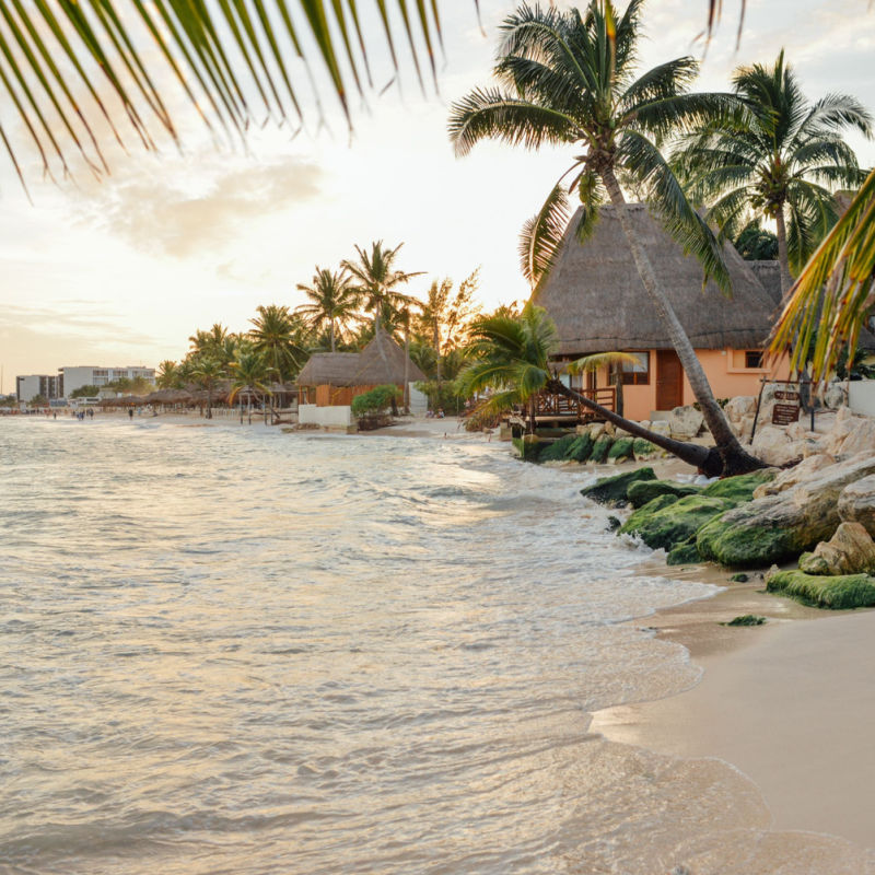 A calm beach in the Mexican Caribbean