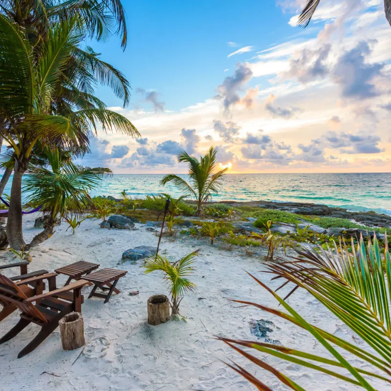 A Riviera Maya white-sand beach with palm trees and water