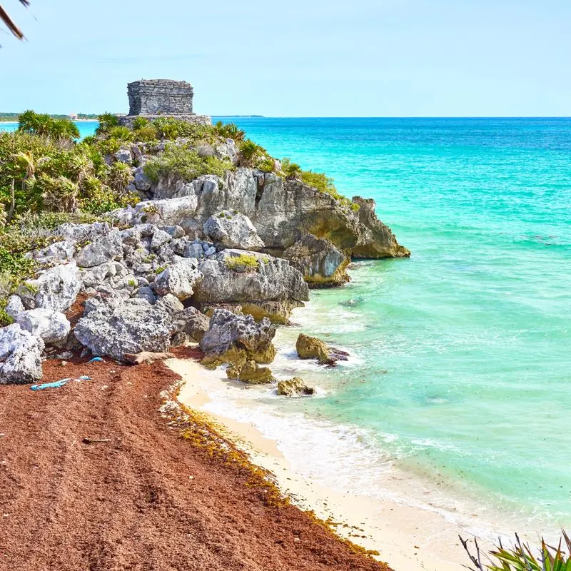 Sargassum washed up on beach below Tulum Maya ruins