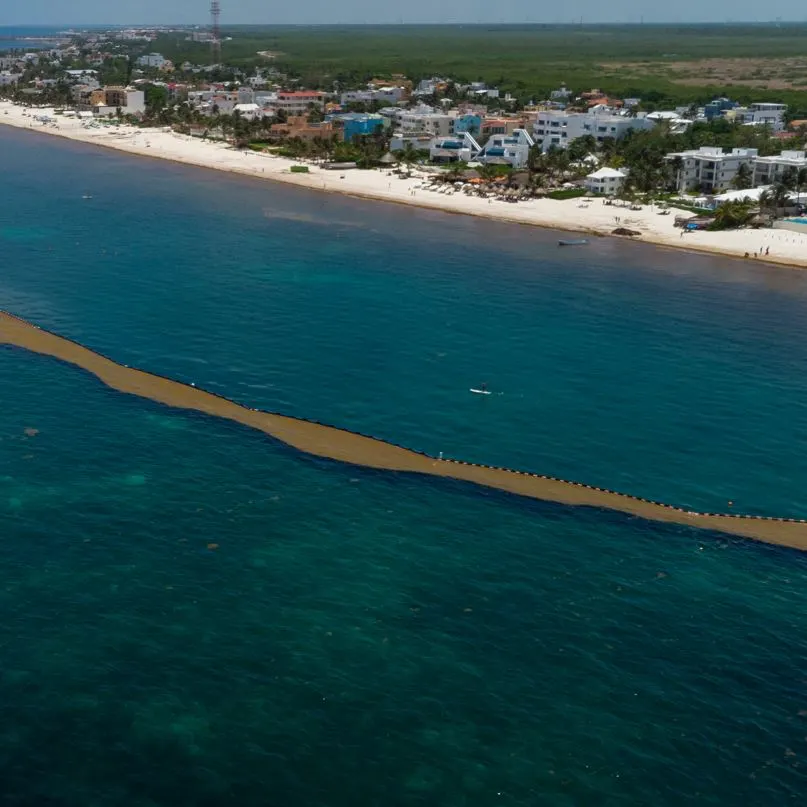 Sargassum barrier in cancun