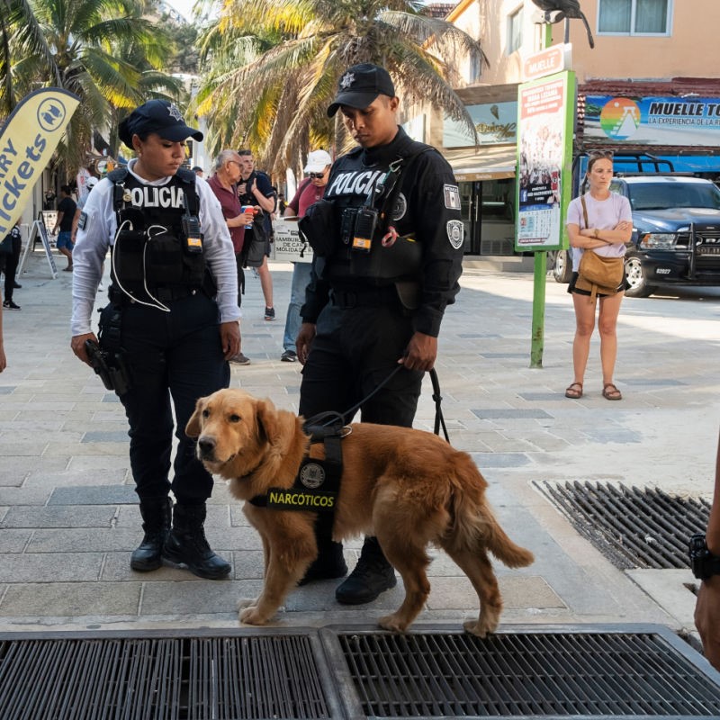 Police and Narcotics Dog Patrolling Playa del Carmen