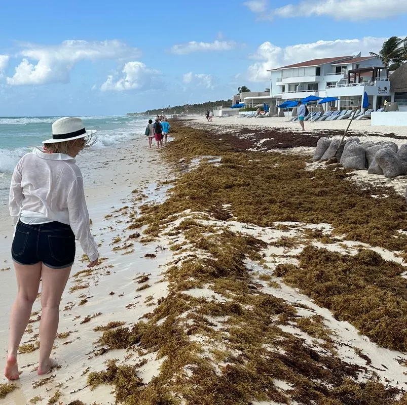Woman looking at sargassum on playa del carmen beach