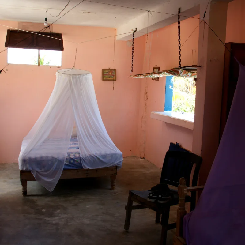 mosquito net on a bed