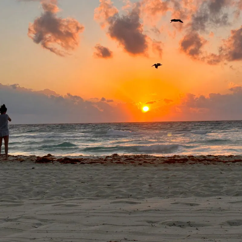 A girl enjoying the amazing view of sunset in Cancun and th birds flying at the same direction