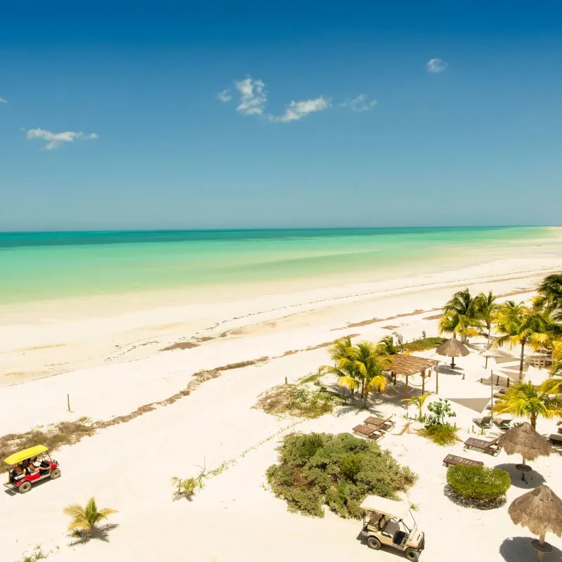White sand beach with palm trees in Holbox, Quintana Roo