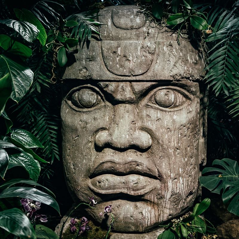 An ancient Olmec head sculpture in the jungle