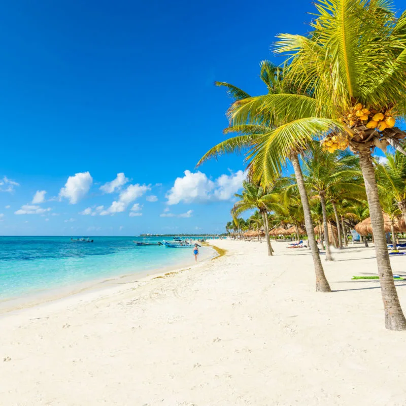 The beautiful Paradise beach in Cancun with tourists walking by and the plam trees